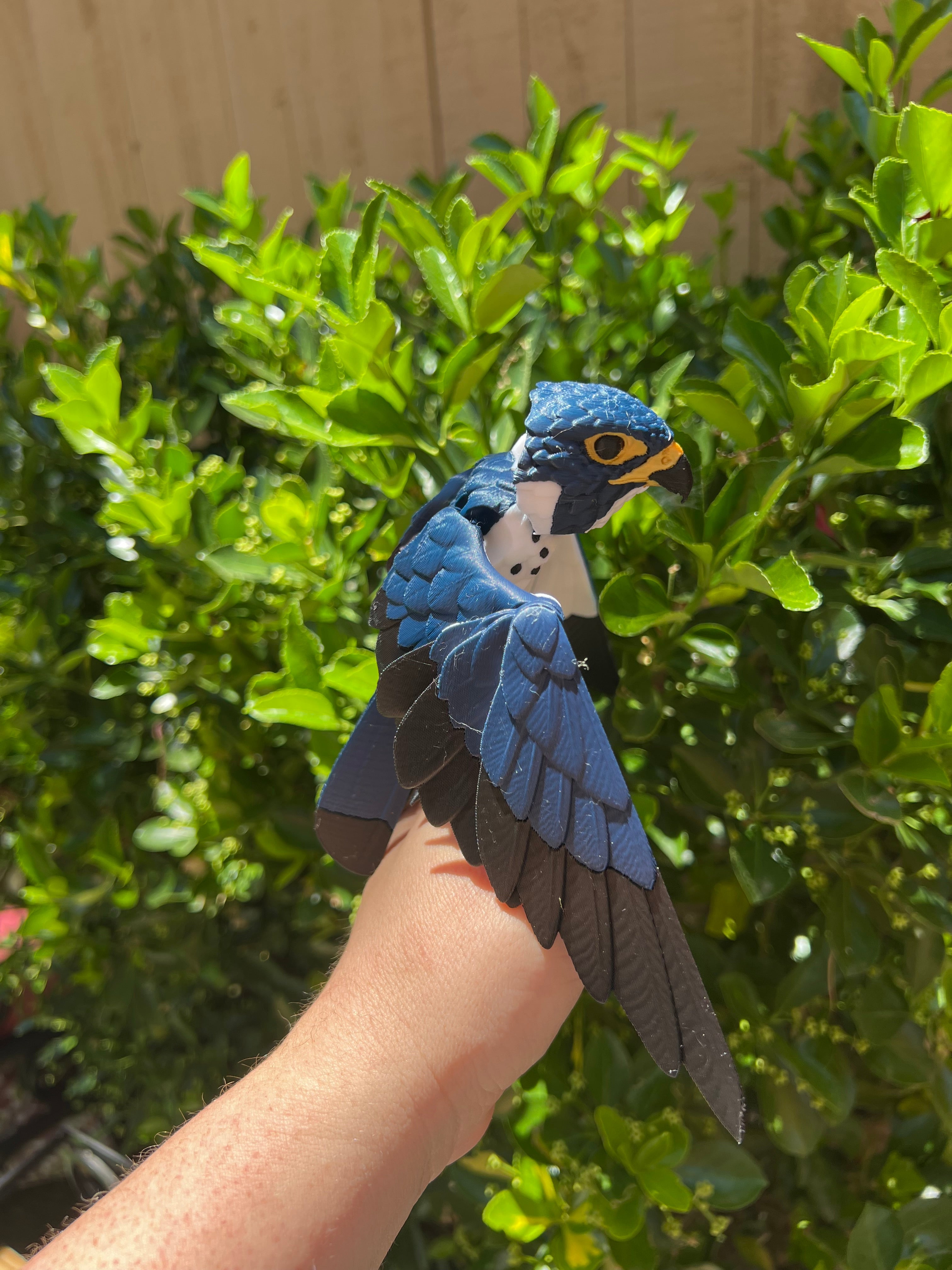 Articulated Peregrine Falcon