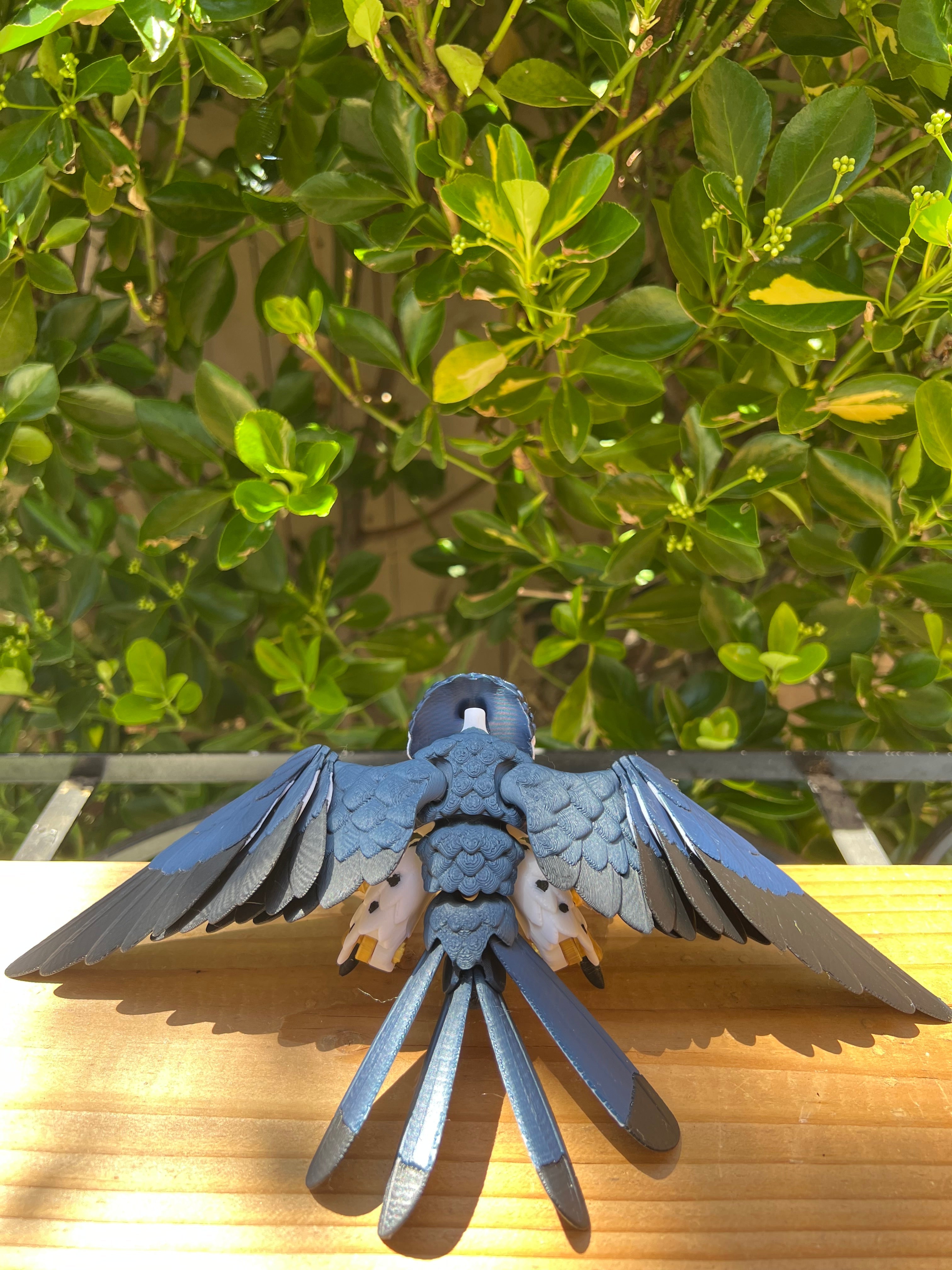 Articulated Peregrine Falcon