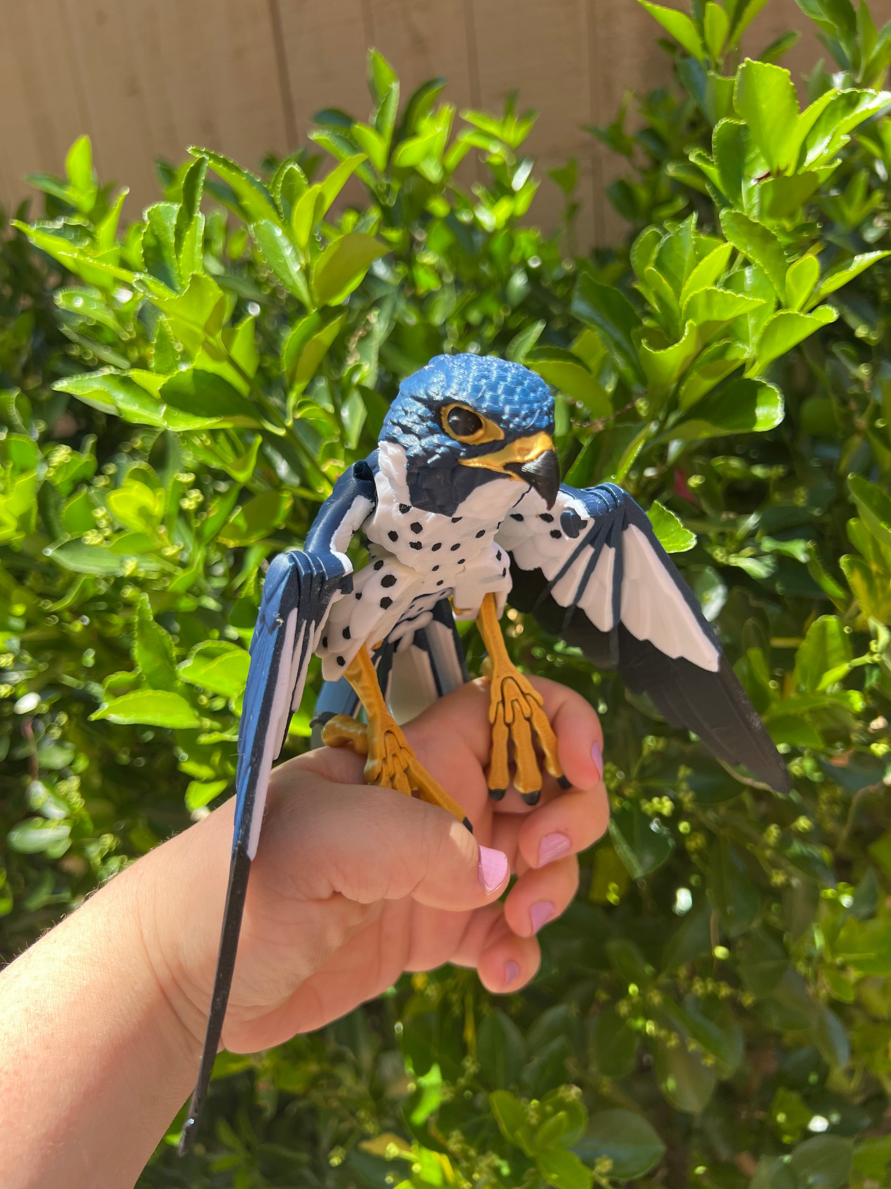 Articulated Peregrine Falcon